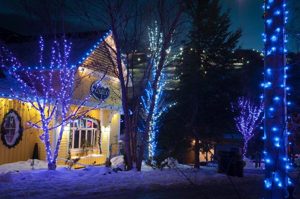 Christmas Decor Collingwood | 496895 Grey County Rd 2, Thornbury, ON N0H 2P0, Canada | Phone: (519) 599-2957