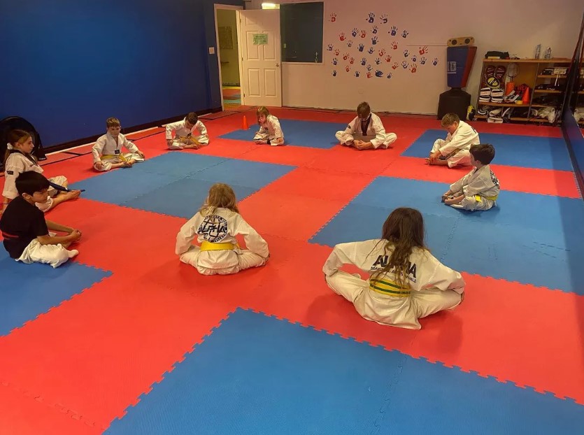 Alpha Martial Arts World | 110 Little Ave, Barrie, ON L4N 4K8, Canada | Phone: (416) 474-3840