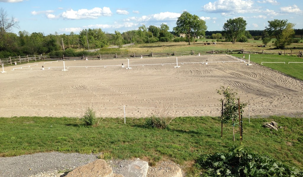 Meadowvale Farm Equestrian Centre | 1247 Corkery Rd, Carp, ON K0A 1L0, Canada | Phone: (613) 256-8170