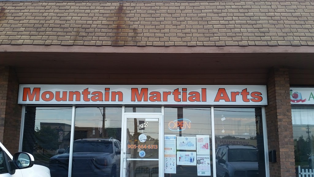 Mountain Martial Arts | 290 Barton St, Stoney Creek, ON L8E 2K6, Canada | Phone: (905) 664-6313