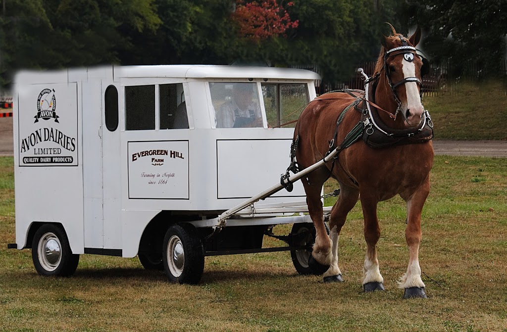 Evergreen Hill Farm- Horse Drawn Services | 687 St Johns Rd E, Port Dover, ON N0A 1N2, Canada | Phone: (519) 426-2155