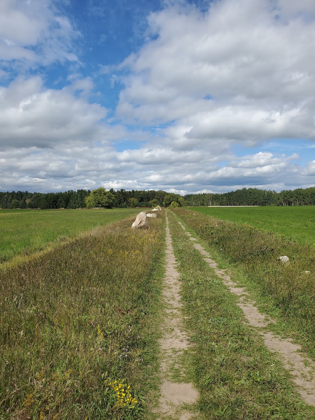 Swinging Bridge | Roseau River, MB R0A 1P0, Canada | Phone: (204) 427-2922