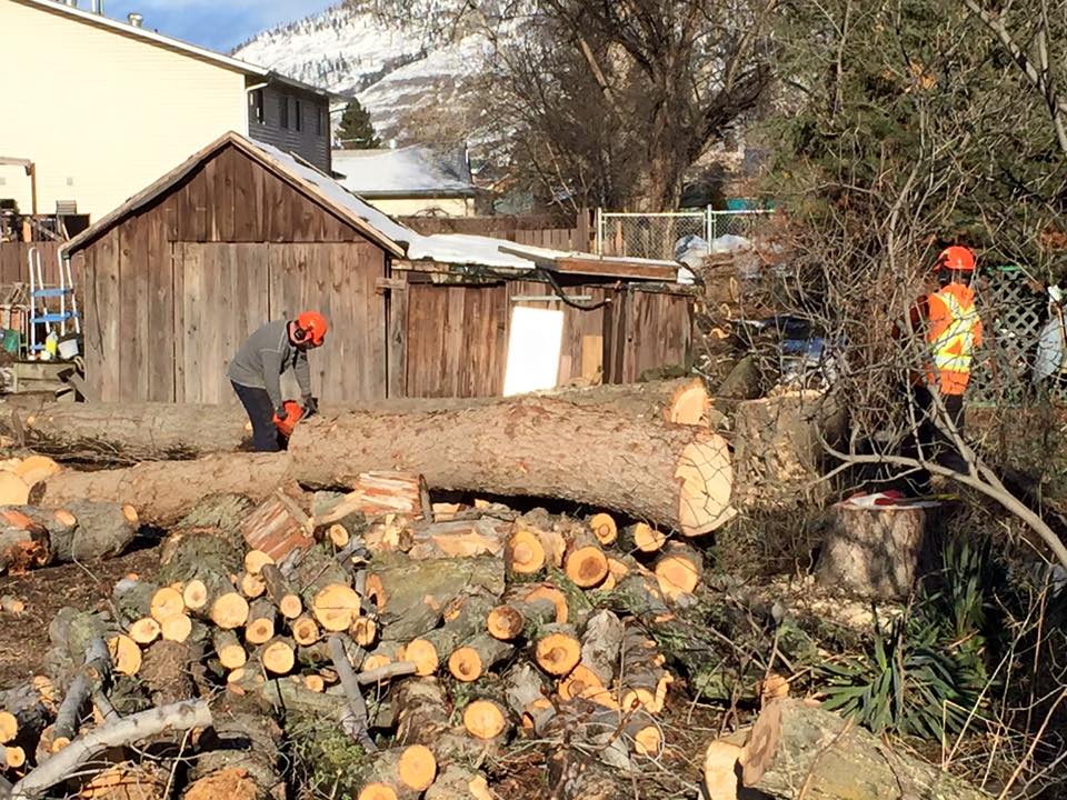 Pine Valley Tree Services and Landscaping | 1862 Ironwood Dr, Kamloops, BC V2H 0A6, Canada | Phone: (250) 319-5586