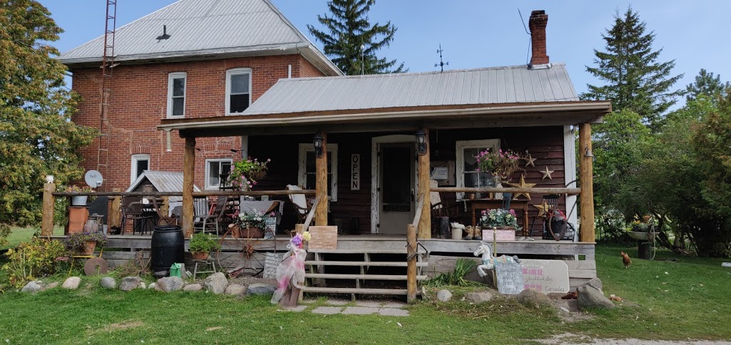 Breezzy Acres - Fresh eggs & meat | 11486 County Rd 10, Stayner, ON L0M 1S0, Canada | Phone: (705) 428-5336