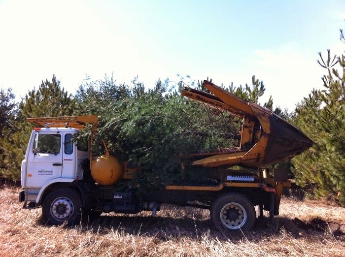 Ontario Tree Moving and Spading | 515 Curry Rd, Midland, ON L4R 5H2, Canada | Phone: (905) 510-7159