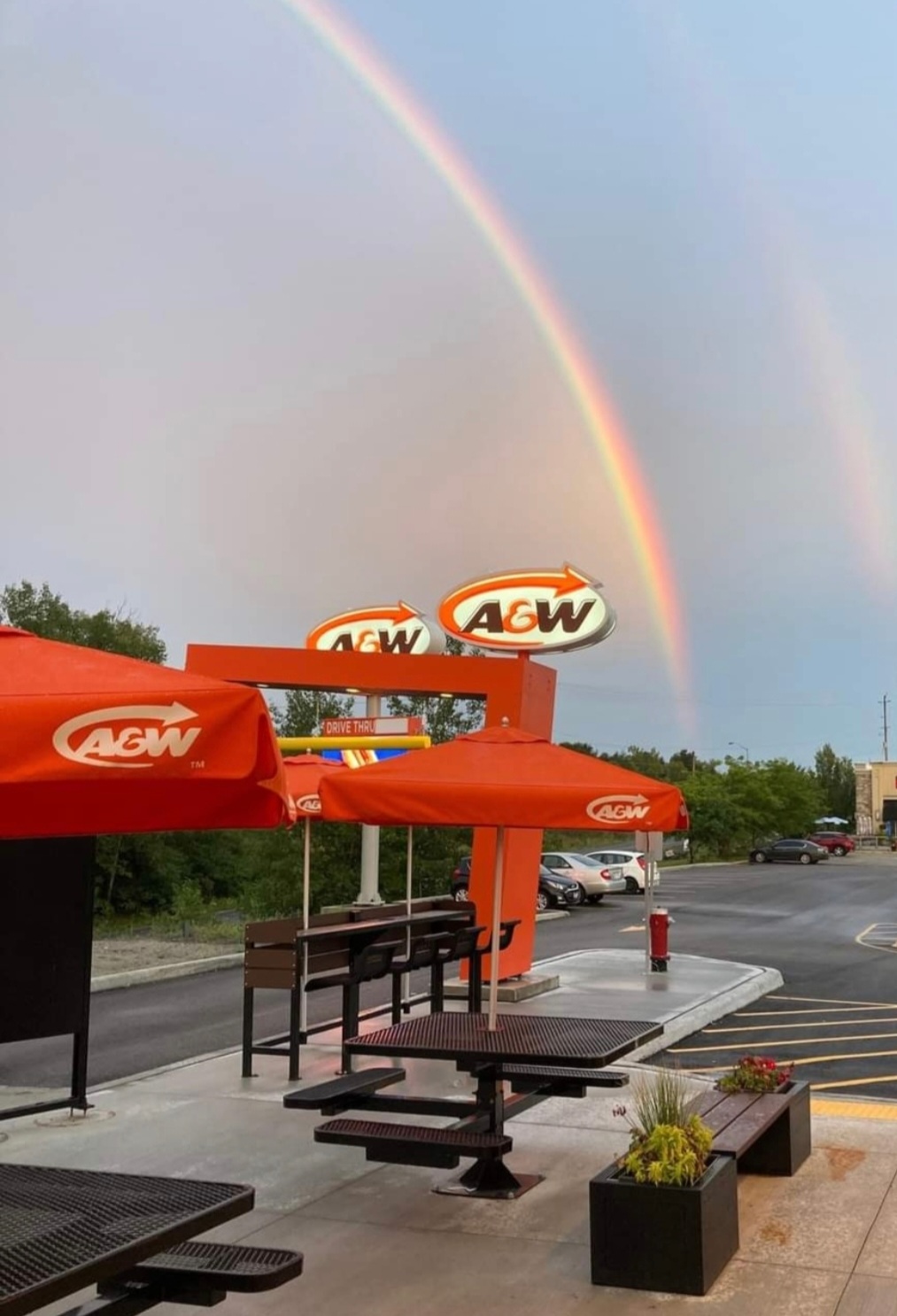 A&W Canada | 110 Fountain Street, Gravenhurst, ON P1P 0H3, Canada | Phone: (705) 684-9900