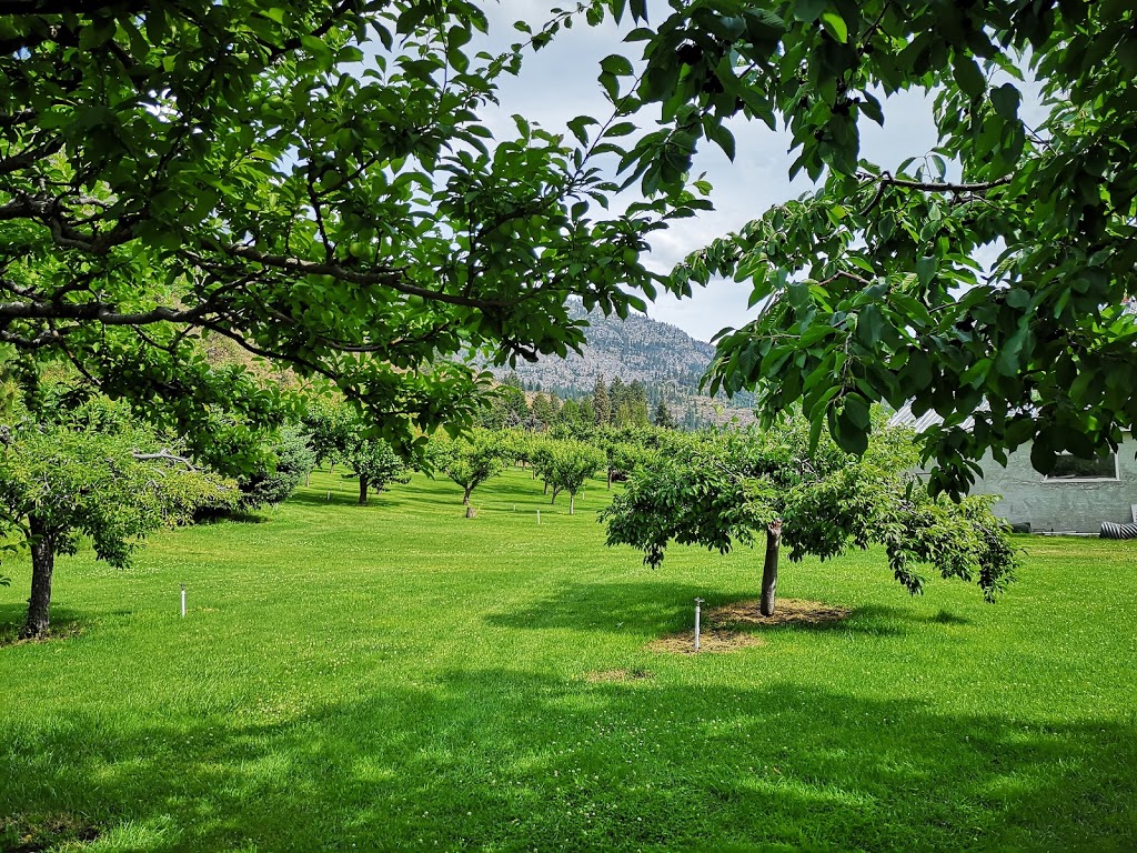 Bighorn Fruit Stand | Unnamed Road, Okanagan Falls, BC V0H 1R0, Canada