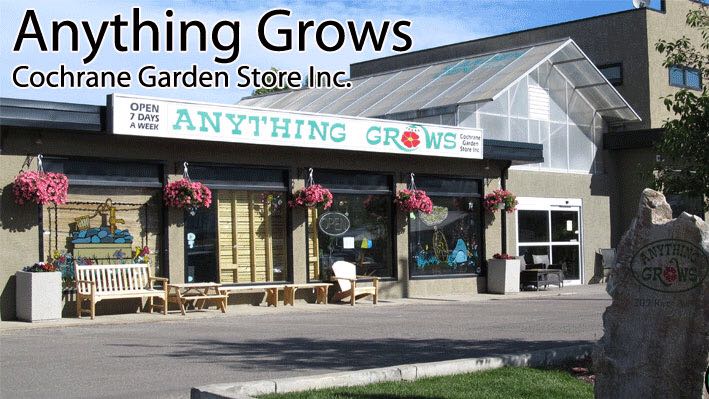 Anything Grows | 209 River Ave, Cochrane, AB T4C 2C1, Canada | Phone: (403) 932-9922