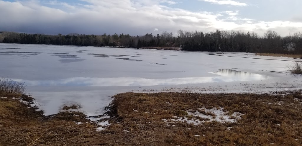 Peasants Pantry | 4491 NS-12, Chester Basin, NS B0J 1K0, Canada | Phone: (902) 365-5964