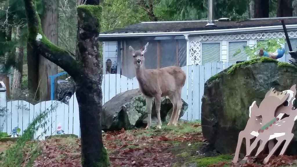 Hidden Valley Mobile Home Park | 2500 Florence Lake Rd, Victoria, BC V9B 4H2, Canada