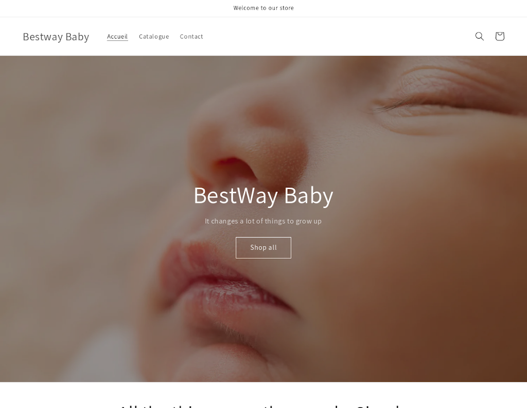 BestWayBaby | 133 Rue Bella-Vista, Saint-Basile-le-Grand, QC J3N 1L1, Canada | Phone: (438) 490-1385