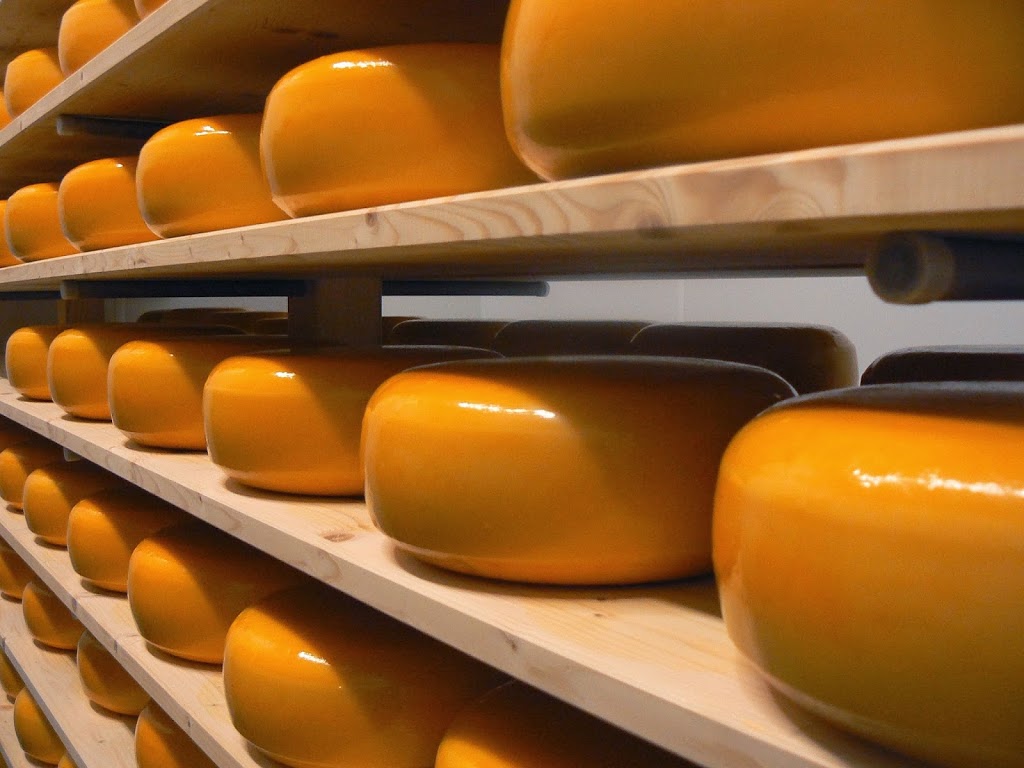 Blyth Farm Cheese | 82521 Allboro Line, Blyth, ON N0M 1H0, Canada | Phone: (226) 523-5884