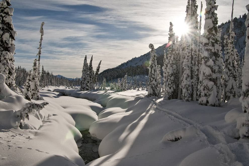 Callaghan Countrys Journeyman Lodge | Backcountry Lodge - trail access only, Whistler, BC V0N 1B8, Canada | Phone: (604) 938-0616