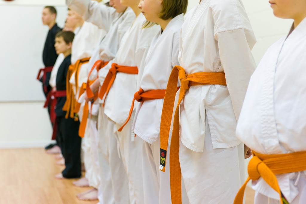 Boundless Martial Arts | 50 Goebel Ave, Cambridge, ON N3C 1Z1, Canada | Phone: (226) 218-3660
