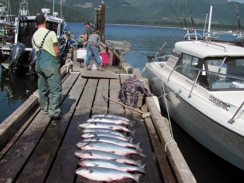 HindSight Fishing LTD | 17176 Osprey Pl, Port Renfrew, BC V0S 1K0, Canada | Phone: (866) 642-7393