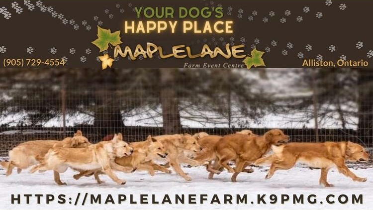 Maplelane Farm Event Centre | 6311 12th Line, Alliston, ON L9R 1V4, Canada | Phone: (905) 729-4554