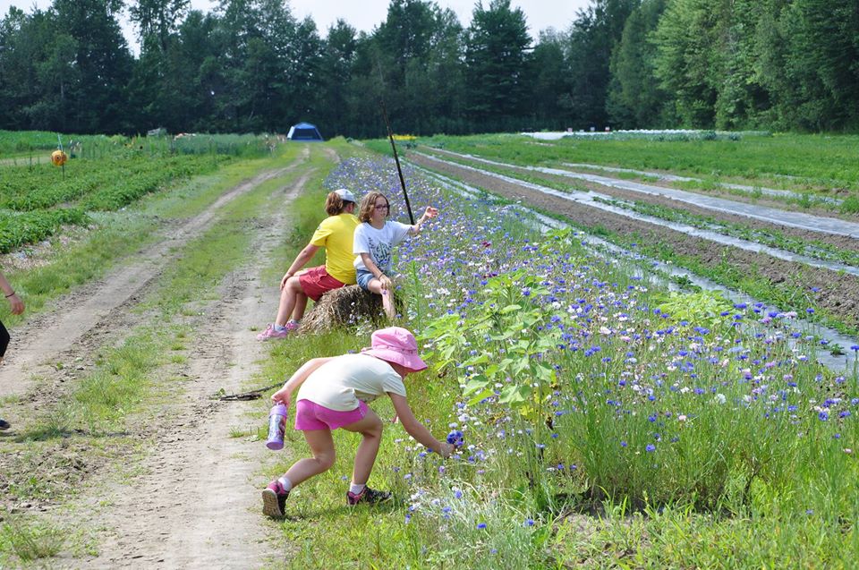 Wild about Nature | 122 Rue Monseigneur-Taché, Boucherville, QC J4B 2K3, Canada | Phone: (450) 655-4843