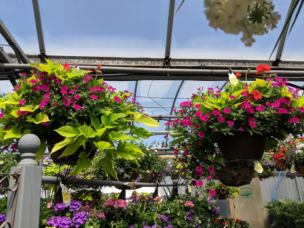 Crawfords Garden Centre | 8689 5 Sideroad, Milton, ON L9T 2X7, Canada | Phone: (905) 878-0223