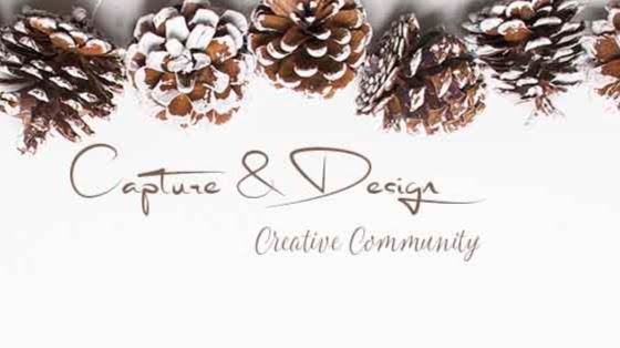 Capture & Design | 9502 107 St, Morinville, AB T8R 1E2, Canada | Phone: (780) 405-5591