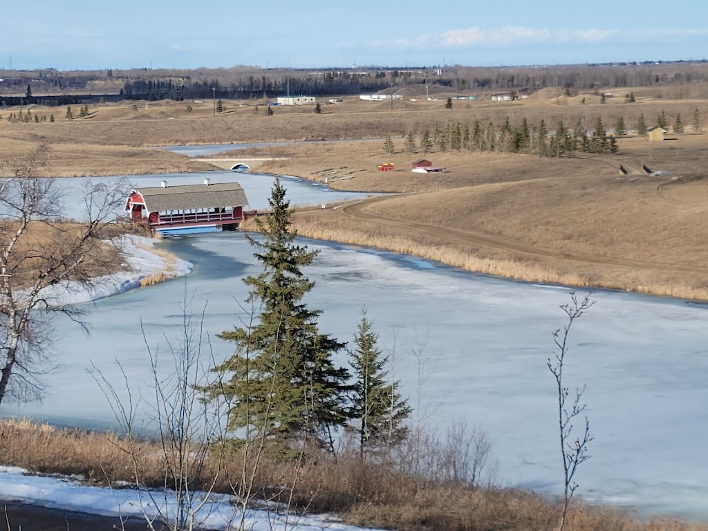 Our Lady Queen of Peace Ranch Northern Alberta Ltd | 6c8, 903 153 Ave NE, Edmonton, AB T5Y 6K8, Canada | Phone: (780) 475-7259