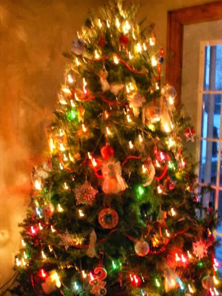 Quesnel Christmas Trees | Collingwood, ON L9Y 3Z1, Canada | Phone: (705) 445-2375