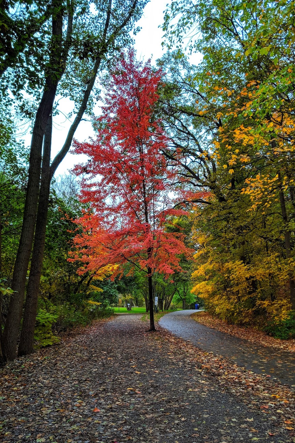 Magwood Park | Lambton Baby Point, Toronto, ON, Canada