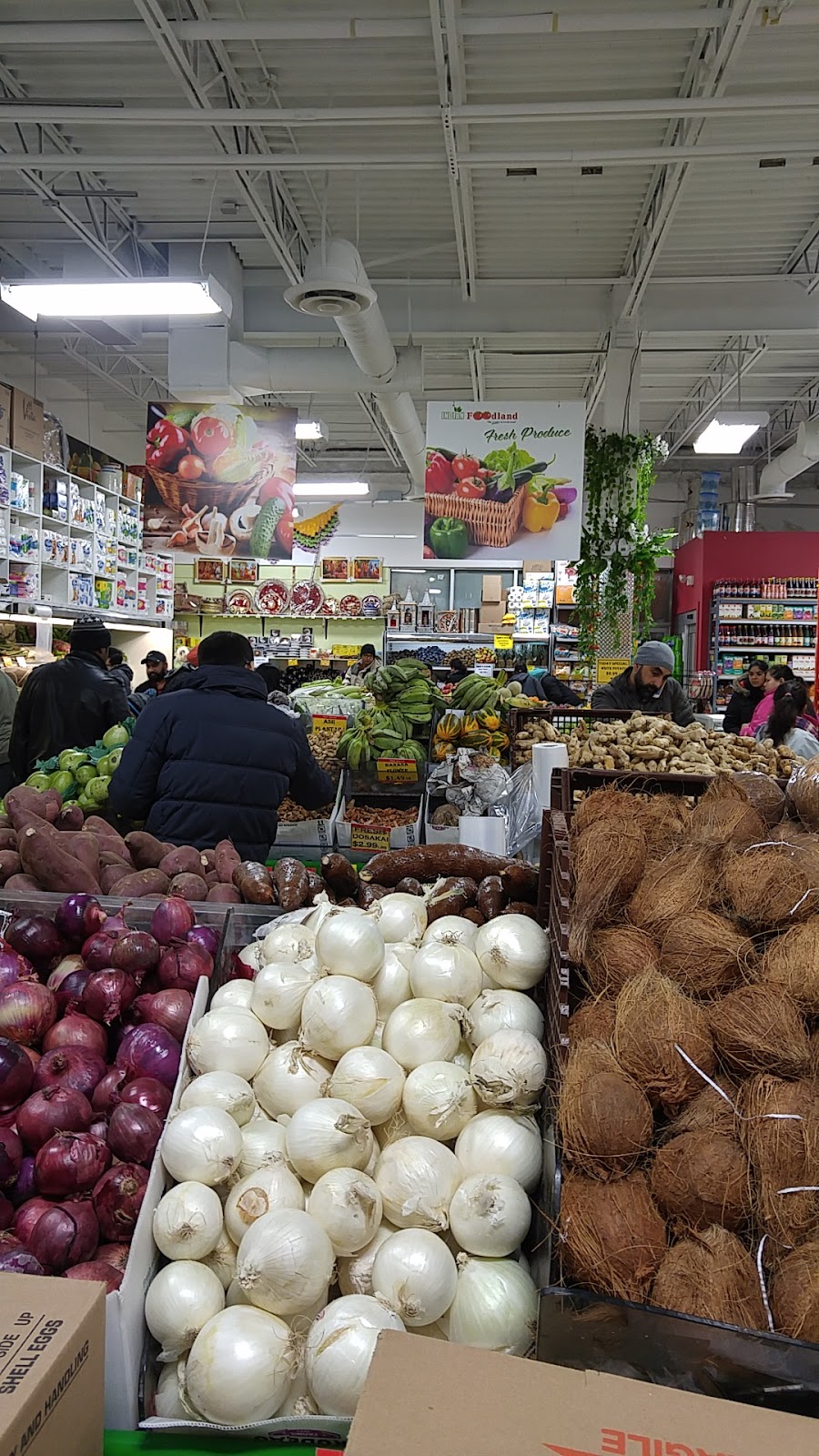 Indian Foodland | 15 Fandor Way #6A, Brampton, ON L7A 2G9, Canada | Phone: (905) 846-5800