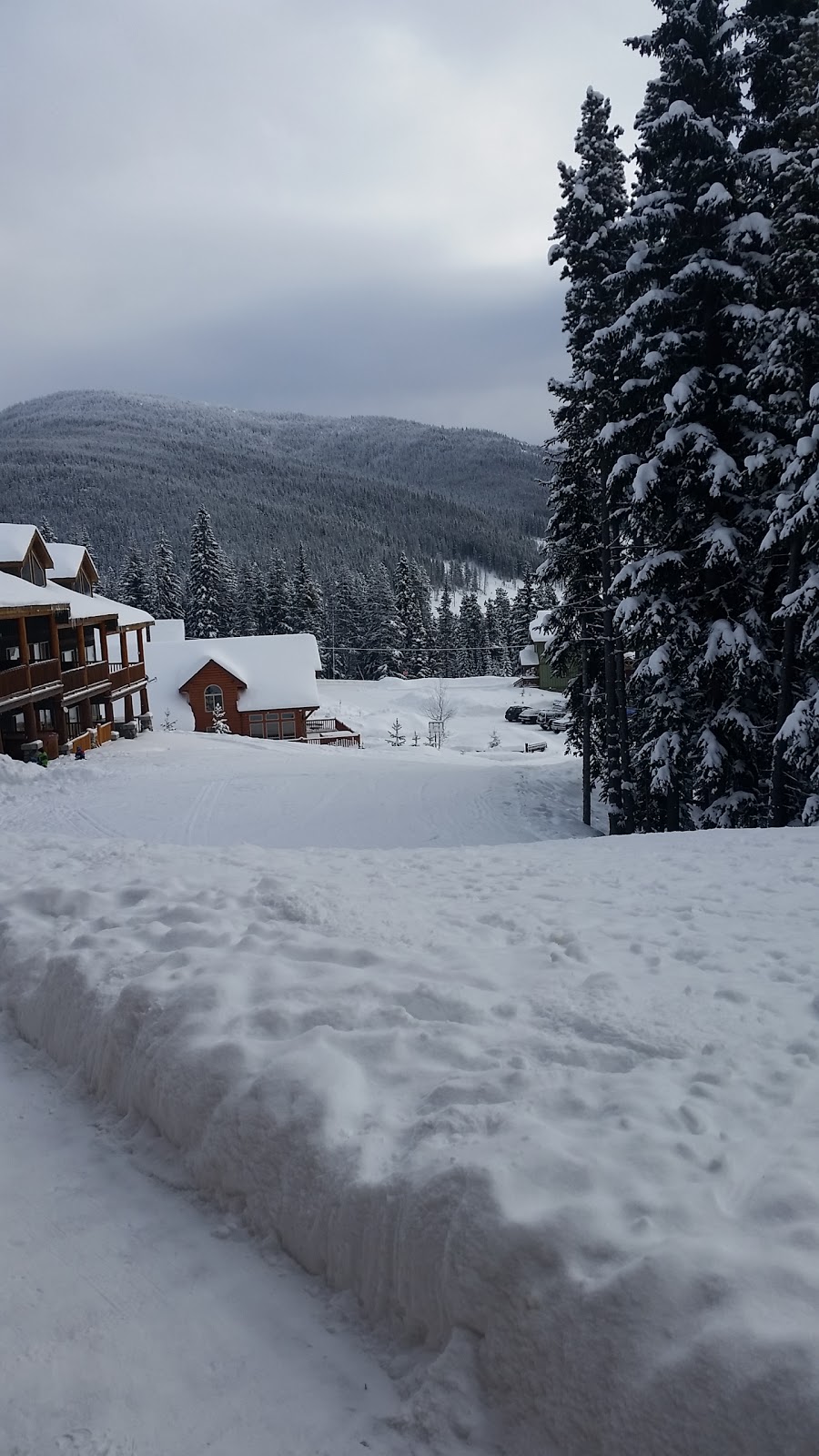 Pack Accommodations Ski Lodge | Penticton, BC V2A 8L7, Canada | Phone: (604) 864-1033