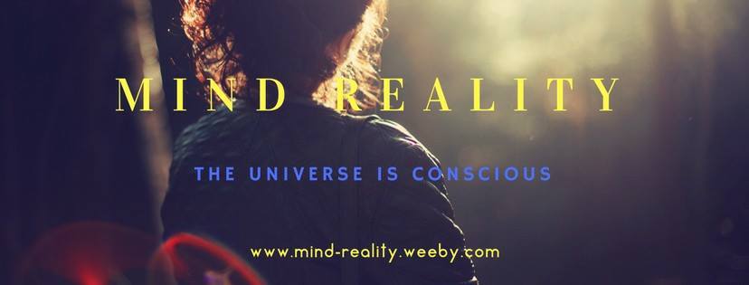 Mind reality cilinical hypnosis | 327 King St E, Hamilton, ON L8N 1C1, Canada | Phone: (289) 680-5987