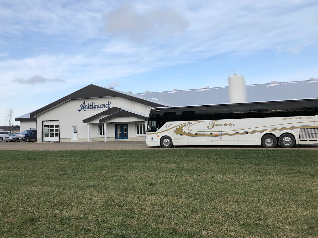 Autobus Fleur de Lys | 2591 Av. de la Rotonde, Charny, QC G6X 2M2, Canada | Phone: (418) 832-7788