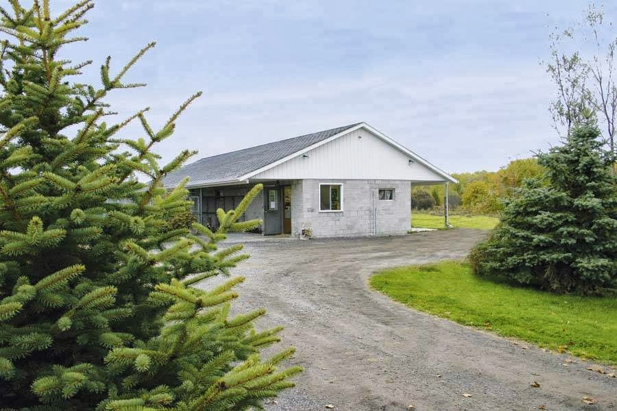 Country Lane Pet Resort | 2722 Taunton Rd E, Bowmanville, ON L1C 7A4, Canada | Phone: (905) 263-8539