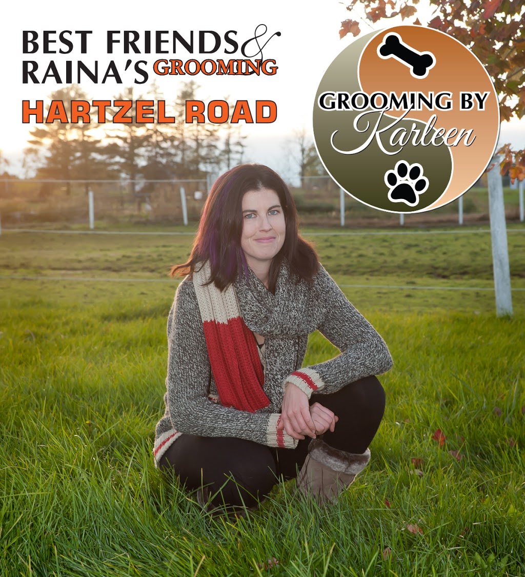 Best Friends & Rainas Grooming - By Karleen | 103 Pine St S, Thorold, ON L2V 3M2, Canada | Phone: (905) 682-7387