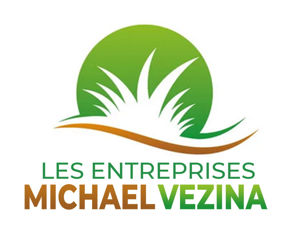 Les entreprises Michael Vezina | 461 Bd Dagenais E #135, Laval, QC H7M 5H1, Canada | Phone: (438) 884-9215