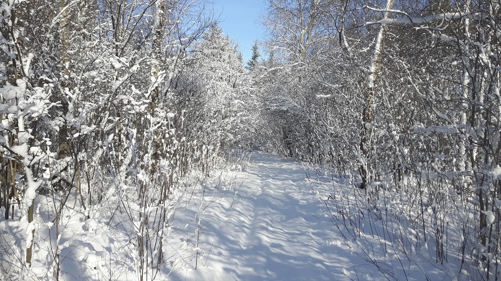 Ellice Swamp | Perth East, ON N0K 1J0, Canada