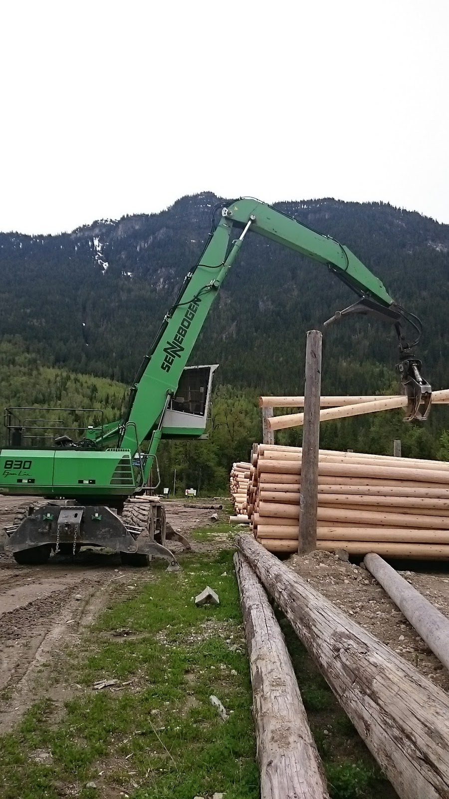 Stella-Jones Canada Inc | Pole Yard Rd, Revelstoke, BC V0E 2S0, Canada | Phone: (250) 837-5061