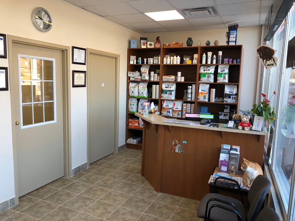 East Side Animal Hospital I affordable Vet in Toronto | 3095 Kingston Rd, Scarborough, ON M1M 1P1, Canada | Phone: (416) 264-8387