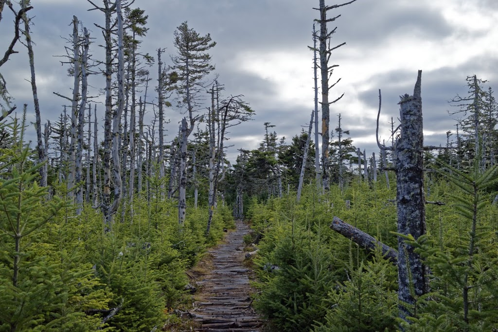 Gaff Point | Gaff Point Trail, Lunenburg, NS B0J 2W0, Canada