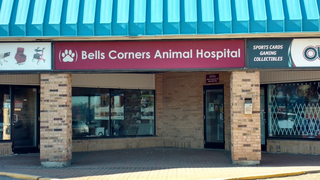 VCA Canada Bells Corners Animal Hospital | 2194 Robertson Rd #27, Nepean, ON K2H 9J5, Canada | Phone: (613) 820-1641