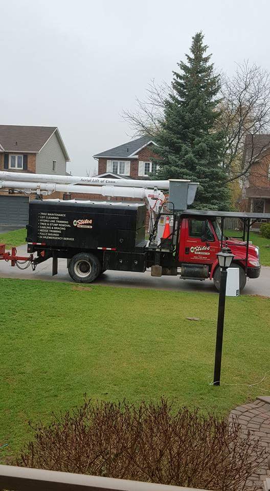 Stiles Tree Service Inc. | 3573 Pollock Rd, Keswick, ON L4P 3E9, Canada | Phone: (905) 722-5025