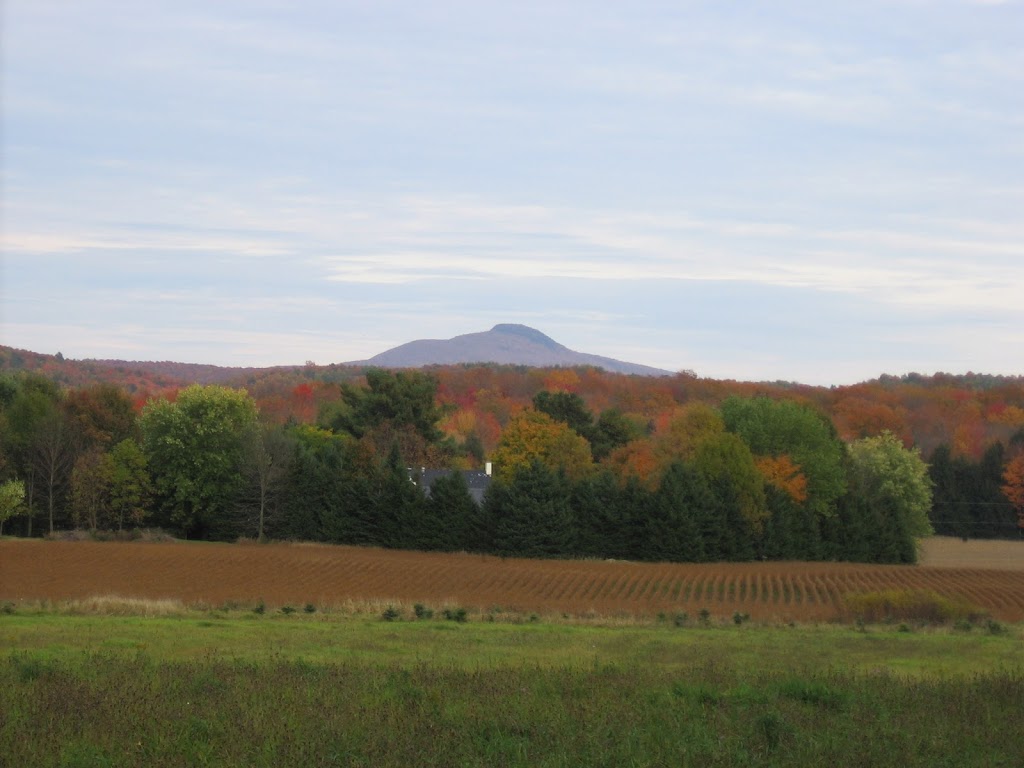 Domaine Fonberg B&B | 295 Chemin des Érables, Saint-Armand, QC J0J 1T0, Canada | Phone: (450) 248-3575