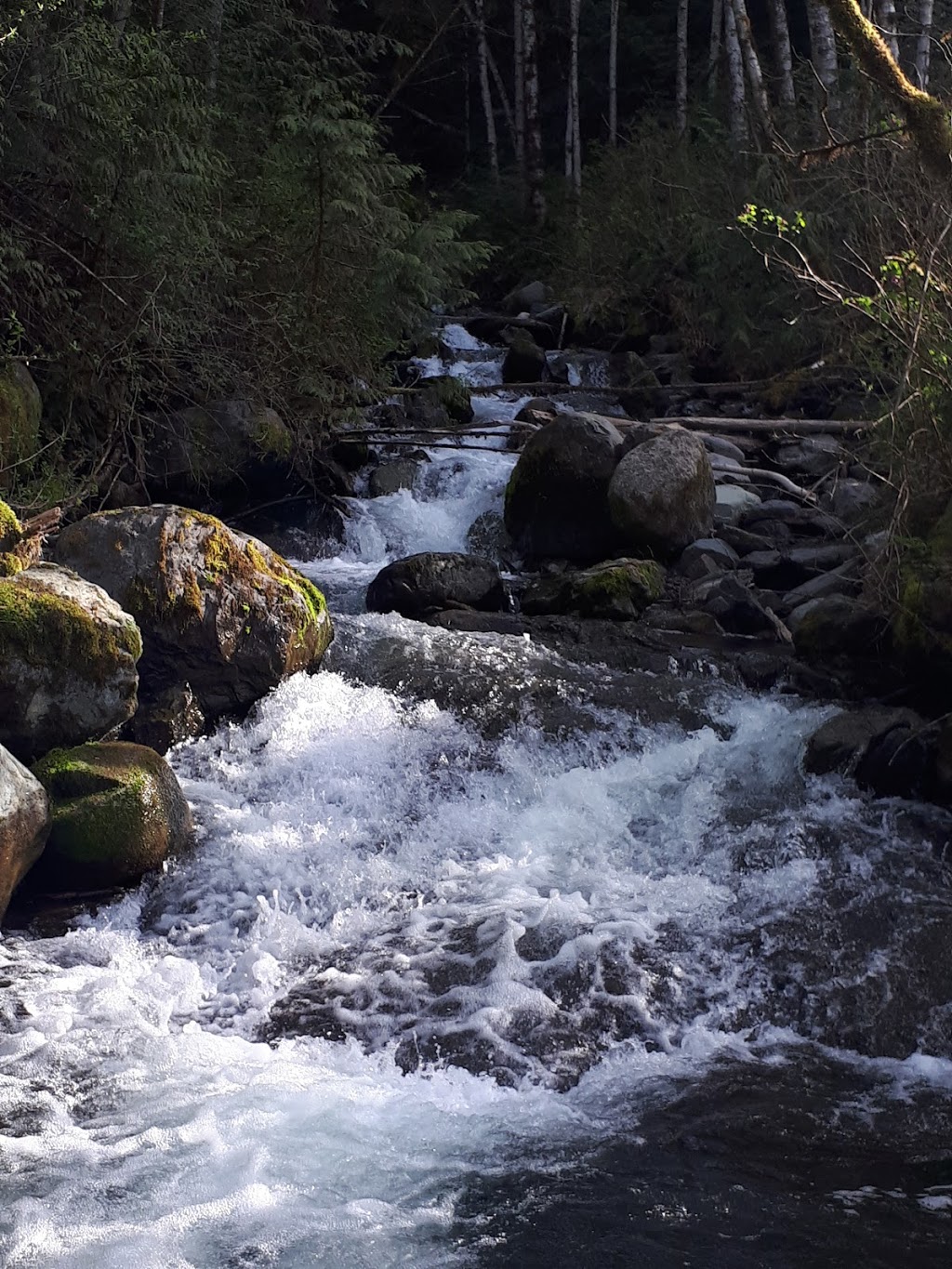 Chipmunk Peninsula Campground | Fraser Valley E, BC V0X 1X0, Canada | Phone: (604) 824-0576