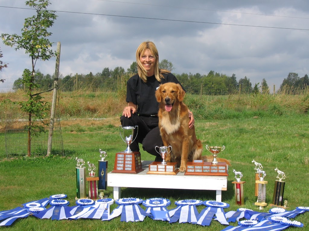 TNT Kennels & Training Center | 27624 Watson Rd, Abbotsford, BC V4X 1P4, Canada | Phone: (604) 857-4949