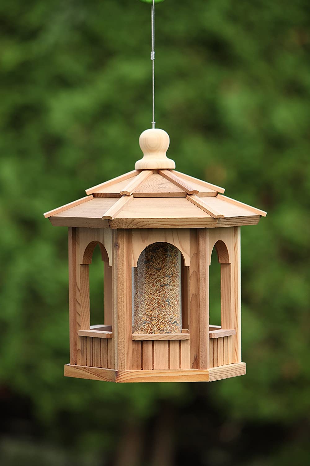 bchbirdfeeders | 5596-B 268 St, Langley City, BC V4W 3X4, Canada | Phone: (604) 340-1132