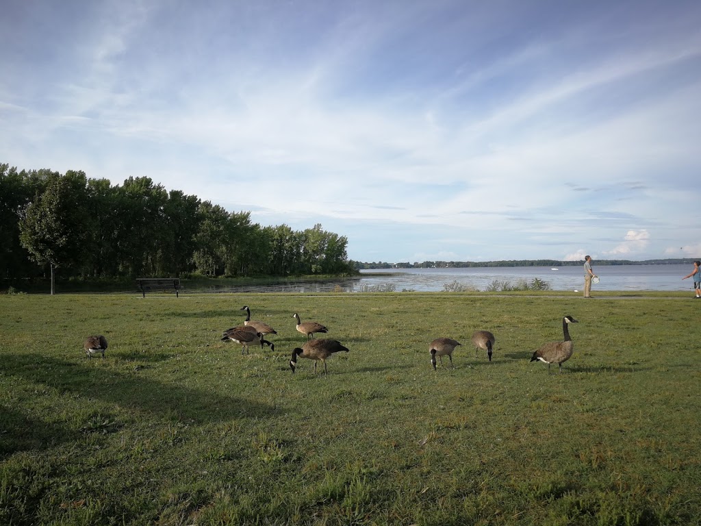 Parc de la Paix | 386 Avenue Saint-Charles, Vaudreuil-Dorion, QC J7V 2M7, Canada