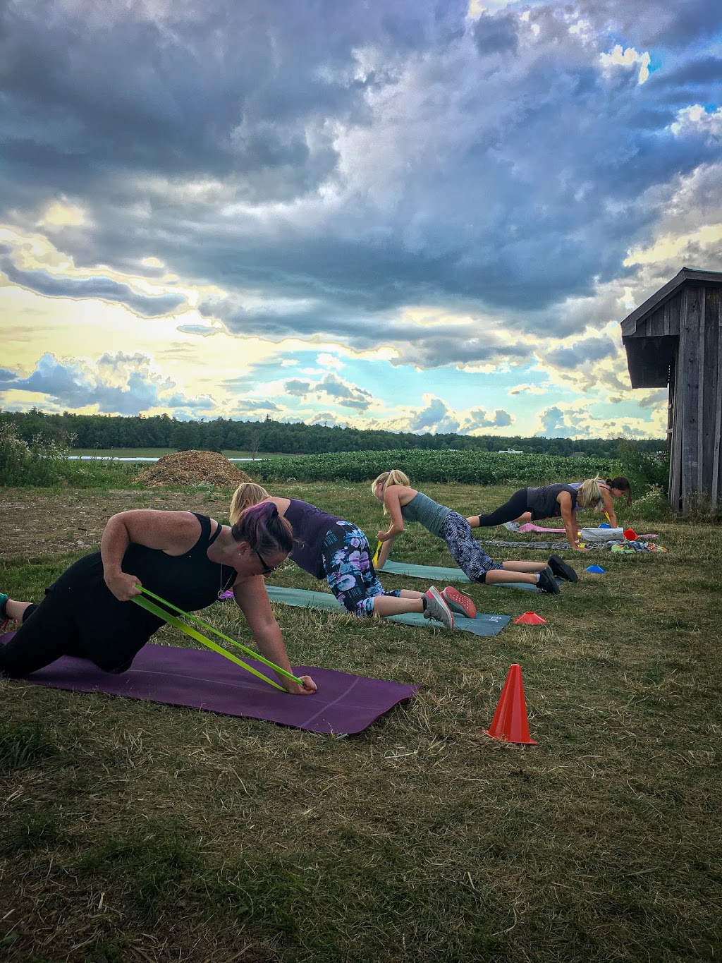 Farm Girl Fitness | 10708 3 Line, Milton, ON L9T 2X9, Canada | Phone: (647) 233-6229