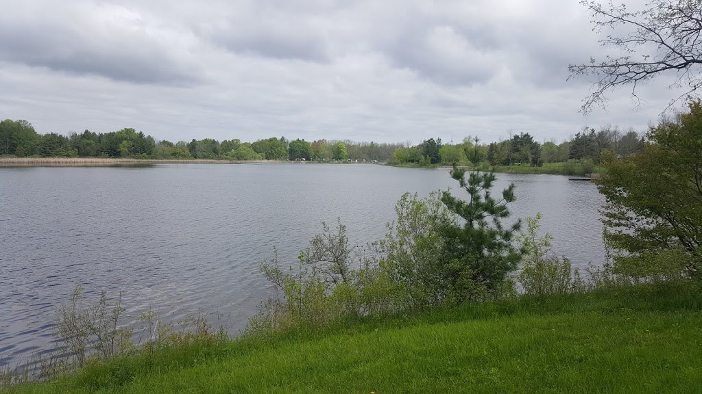 Chippawa Creek Conservation Area | 74646 Regional Rd 45, Wellandport, ON L0R 2J0, Canada | Phone: (905) 386-6387