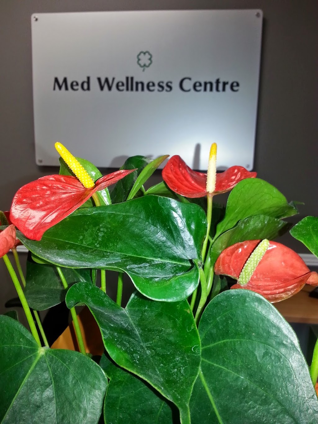 Med Wellness Centre | 110 Ansley Grove Rd unit #11, Woodbridge, ON L4L 3R1, Canada | Phone: (905) 605-8889