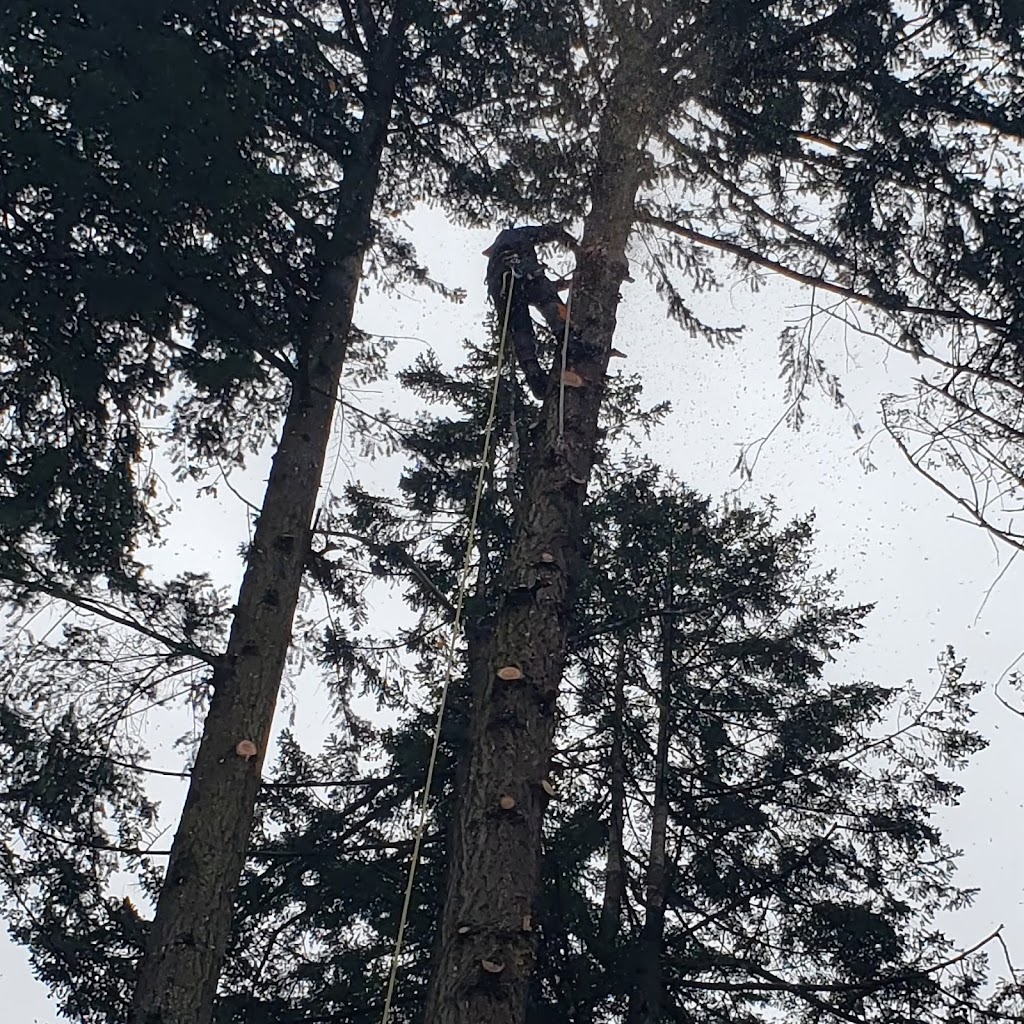 Mid Island Tree Service | 2202 Akenhead Rd, Nanaimo, BC V9X 1T9, Canada | Phone: (250) 735-2917