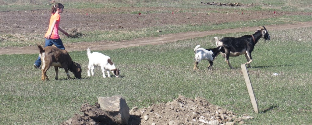 Ziggys Farmhouse @ Labyrinth Farm | 8133 Westsyde Rd, Kamloops, BC V2B 8S1, Canada | Phone: (604) 816-5577