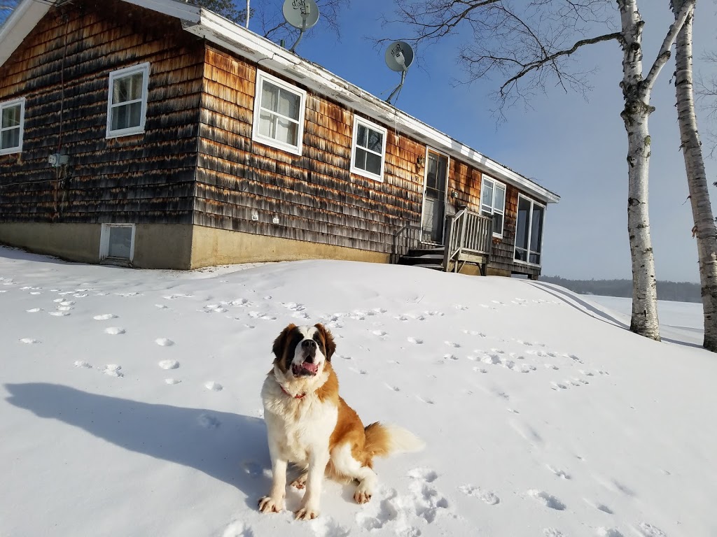 Waters Edge B & B | 324 Wishing Well Ave, Newport, VT 05855, USA | Phone: (802) 334-1840